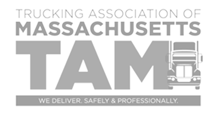 TAM logo